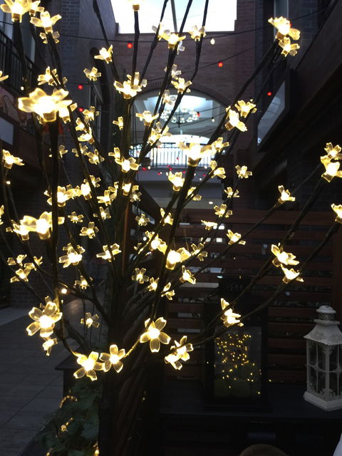 Harmoni-T - Pubs Perth 2