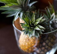 The Caf Coolum - Pubs Perth