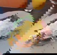 Stock Bar  Grill - Pubs Perth