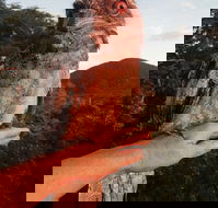 Cafe Anywhere - Pubs Perth