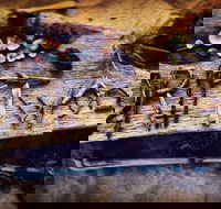 Driftwood Cafe - Pubs Perth