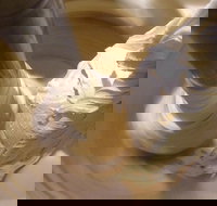 Gelato Classico Noosa Italian Cafe - Pubs Perth