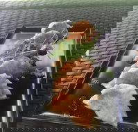 Three Black Sheep Cafe - Pubs Perth