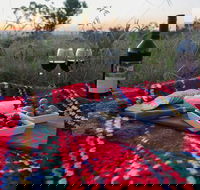 Bunnyconnellen Olive Grove  Vineyard