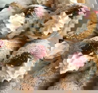 Doomadgee Bakery - Pubs Perth