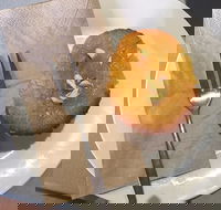 New Leaf Cafe Murwillumbah - Pubs Perth