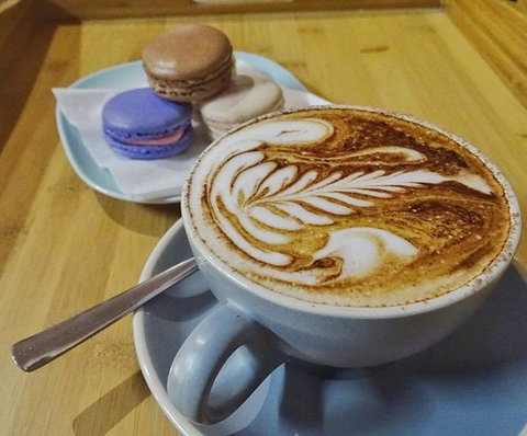 The Spring Bean - Pubs Perth 0