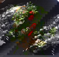 8days Cafe - Pubs Perth