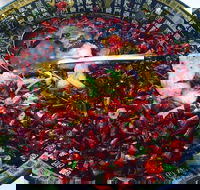 Red Chilli Sichuan Burwood - Pubs Perth
