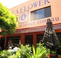 Scent of a Flower - Pubs Perth
