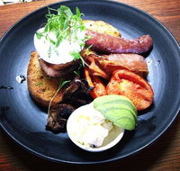 Common Galaxia - Pubs Perth