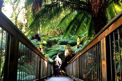 Small-Group Great Ocean Road And Twelve Apostles Full-Day Tour - Pubs Perth 1