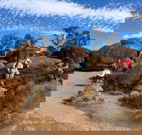 The Big Wave Rock Private Day Tour - Pubs Perth