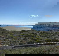 Penguin Island And Fremantle - Canoe Chocolate  Coffee - Pubs Perth