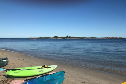 Penguin Island And Fremantle - Canoe, Chocolate & Coffee - Pubs Perth 2