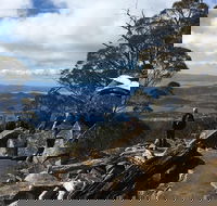kunanyi / Mt Wellington Explorer Bus - 2 Hour Return Tour - Pubs Perth