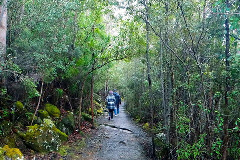 Kunanyi/Mt Wellington Tour & Hobart Hop-On Hop-Off Bus - Pubs Perth 1