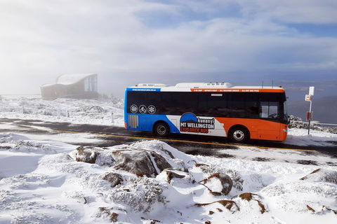 Kunanyi/Mt Wellington Tour & Hobart Hop-On Hop-Off Bus - Pubs Perth 2