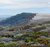 kunanyi/Mt Wellington Explorer Bus - One Way Tour - Pubs Perth
