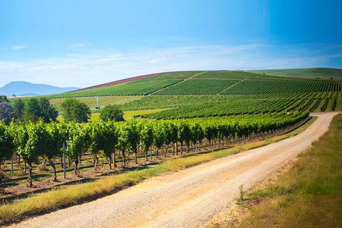 Full Day Tamar Valley Wine Tour - Pubs Perth 1