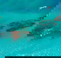 Private Tangalooma Wrecks Tour - Pubs Perth