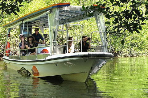 5-Day Best Of Cairns With Daintree, Kuranda, And Great Barrier Reef - Pubs Perth 1