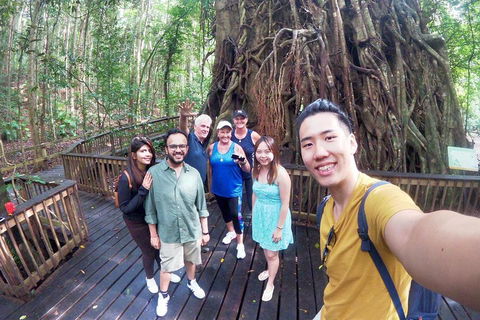 Cairns 4WD Waterfall And Rainforest Tour Including Kuranda Scenic Railway - Pubs Perth 0