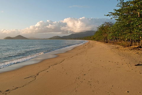 Cairns Reef And Rainforest Combo: Daintree Rainforest And The Great Barrier Reef - Pubs Perth 4