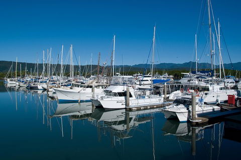 Cairns Reef And Rainforest Combo: Daintree Rainforest And The Great Barrier Reef - Pubs Perth 5