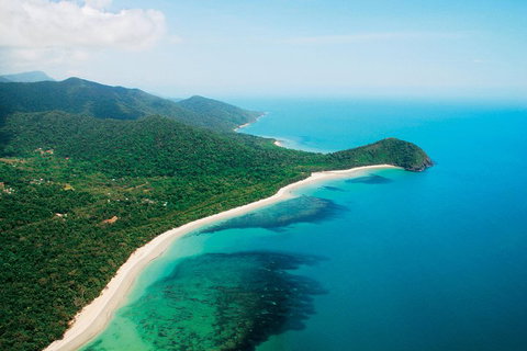 Cape Tribulation, Mossman Gorge, And Daintree Rainforest Premium Day Tour - Pubs Perth 2