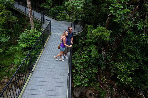 Cape Tribulation, Mossman Gorge, And Daintree Rainforest Premium Day Tour - Pubs Perth 3