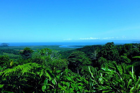 Cape Tribulation, Mossman Gorge, And Daintree Rainforest Premium Day Tour - Pubs Perth 5