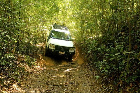Barron Gorge And Kuranda National Park Half Day Rainforest And Waterfall 4WD Tour From Cairns - Pubs Perth 2