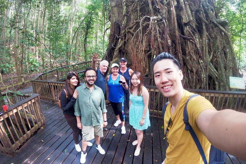 Barron Gorge And Kuranda National Park Half Day Rainforest And Waterfall 4WD Tour From Cairns - Pubs Perth 5
