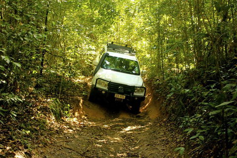Cairns National Park Rainforest And Waterfall Small Group Tour Shore Excursion - Pubs Perth 0