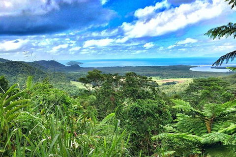 Private Daintree National Park Day Tour From Cairns Including Cape Tribulation And Mossman Gorge - Pubs Perth 2