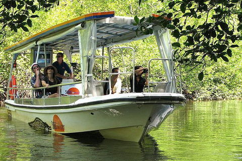Private Daintree National Park Day Tour From Cairns Including Cape Tribulation And Mossman Gorge - Pubs Perth 5