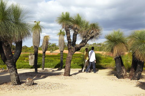 1 Day Exclusively Private Tour Of Phillip Island & The Penguin Parade - Pubs Perth 0