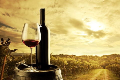 McLaren Vale Luxury Wine Tour - Pubs Perth 0