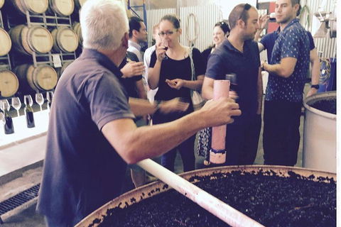 Luxury Private Mclaren Vale Wine Tour - Pubs Perth 4
