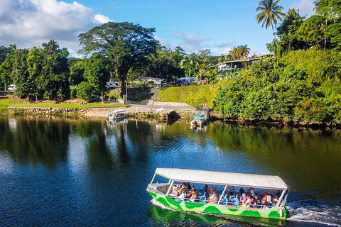 Full Day Tour In The Daintree - Pubs Perth 2