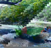 Afternoon Half-Day Daintree Rainforest and River Tour - Pubs Perth