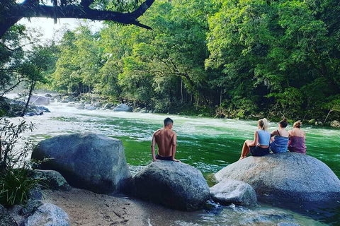 Afternoon Half-Day Daintree Rainforest And River Tour - Pubs Perth 0