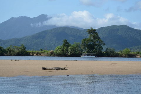 Afternoon Half-Day Daintree Rainforest And River Tour - Pubs Perth 2