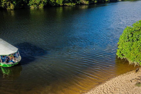 Afternoon Half-Day Daintree Rainforest And River Tour - Pubs Perth 3