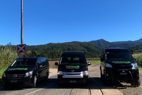 Afternoon Half-Day Daintree Rainforest And River Tour - Pubs Perth 4