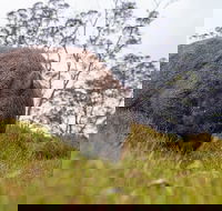 3-Day Cradle Mountain Photography Workshop - Pubs Perth
