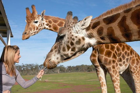 Melbourne City Card (2 Days): Visit Unlimited Attractions! - Pubs Perth 1