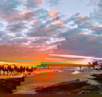 1 Hour Broome Sunset Camel Tour - Pubs Perth
