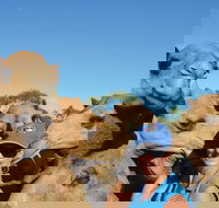 Broome Pre-sunset Camel Tour 30 minutes - Pubs Perth